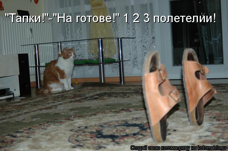 Котоматрица: "Тапки!"-"На готове!" 1 2 3 полетелии!