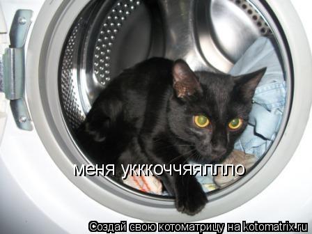 Котоматрица: меня укккоччяяллло