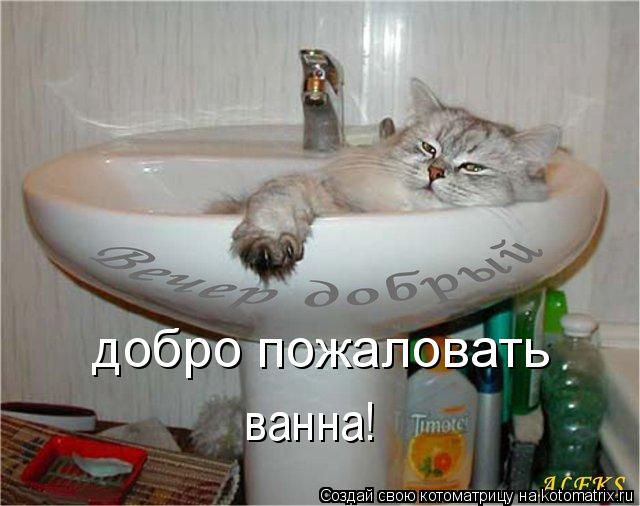 Котоматрица: добро пожаловать ванна!