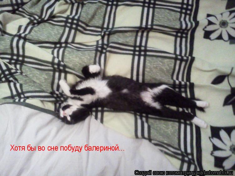Котоматрица: Хотя бы во сне побуду балериной...