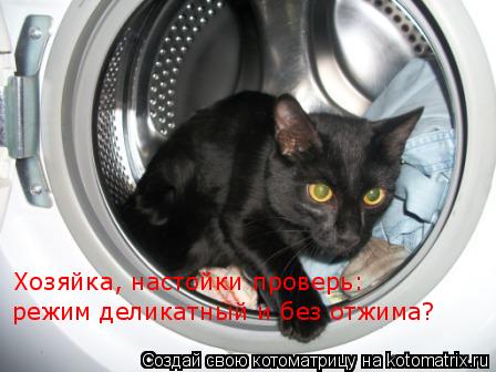 Котоматрица: Хозяйка, настойки проверь:  режим деликатный и без отжима?