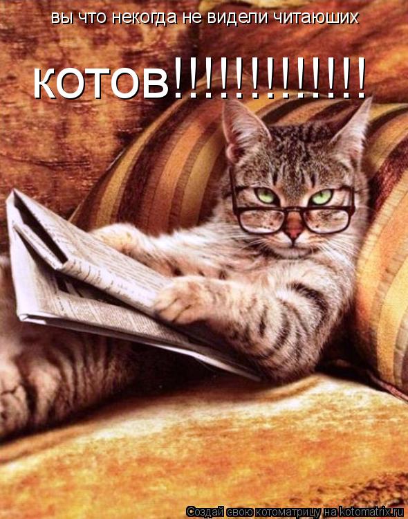Котоматрица: вы что некогда не видели читаюших котов!!!!!!!!!!!!!