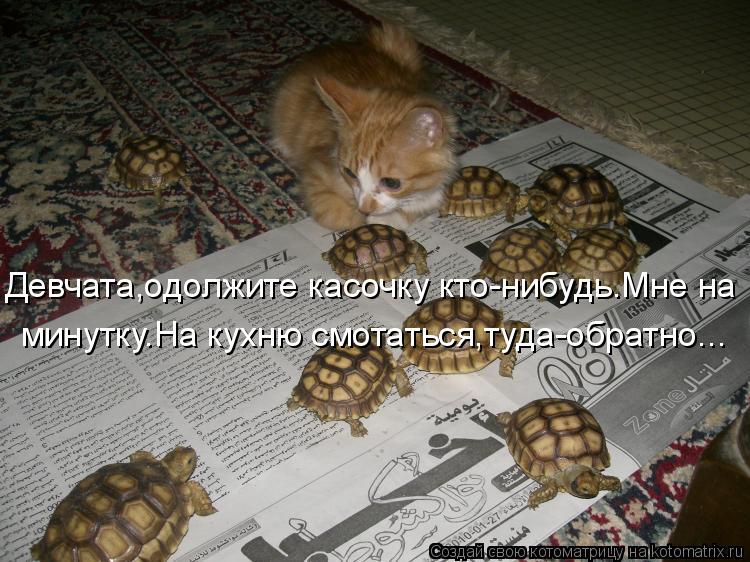 Девчата,одолжите касочку кто-нибудь.Мне на минутку.На кухню смотаться,туда-обратно...... Котоматрица: Девчата,одолжите касочку кто-нибудь.Мне на минутку.На кухню смотаться,туда-обратно...