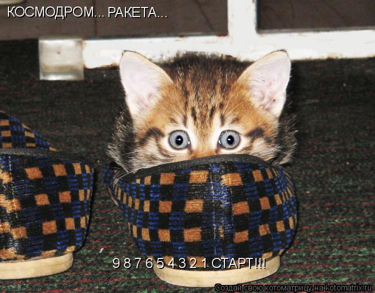 Котоматрица: КОСМОДРОМ... РАКЕТА... 9 8 7 6 5 4 3 2 1 СТАРТ!!!