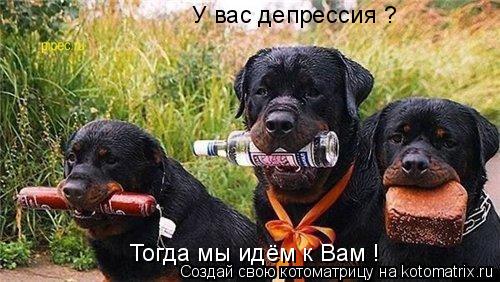 Котоматрица: У вас депрессия ?  Тогда мы идём к Вам !
