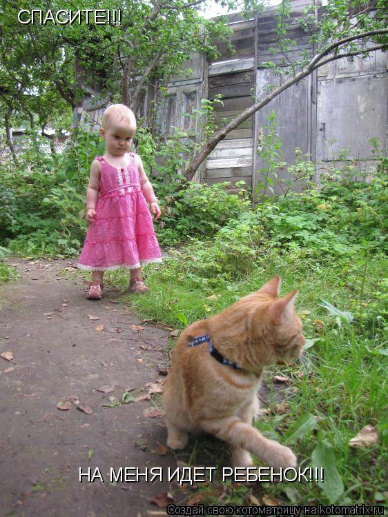 Котоматрица: СПАСИТЕ!!! НА МЕНЯ ИДЕТ РЕБЕНОК!!!