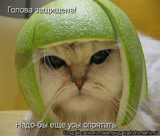 Котоматрица: Голова защищена! Надо-бы еще усы спрятать...