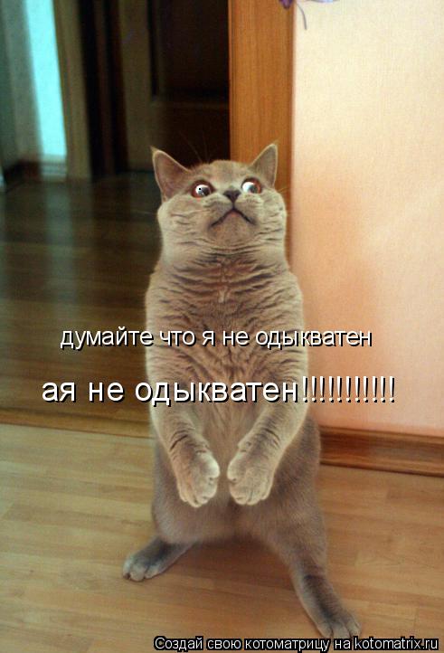 Котоматрица: думайте что я не одыкватен ая не одыкватен!!!!!!!!!!!
