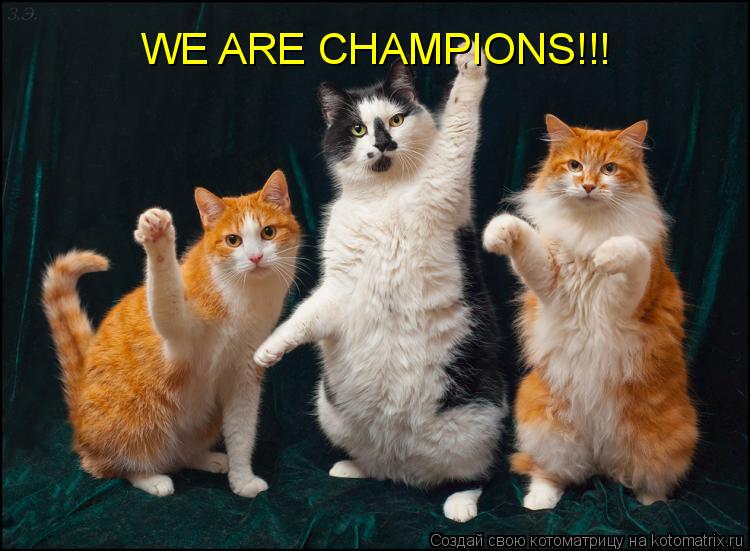 WE ARE CHAMPIONS!!!... Котоматрица: WE ARE CHAMPIONS!!!