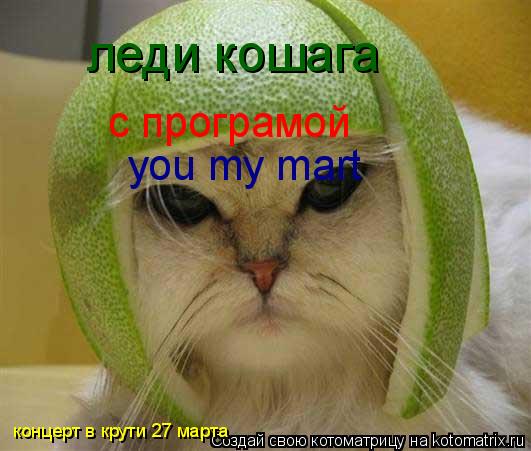 леди кошага с програмой you my mart концерт в крути 27 марта... Котоматрица: леди кошага с програмой you my mart концерт в крути 27 марта