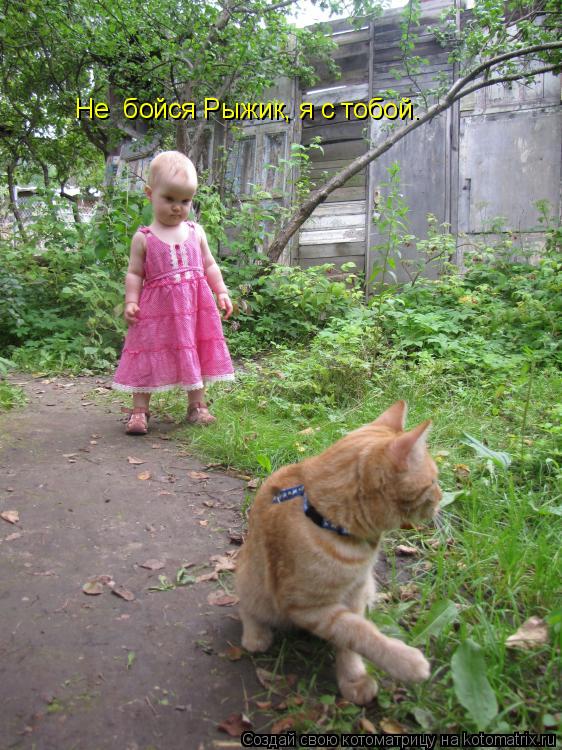 Не бойся Рыжик, я с тобой.... Котоматрица: Не бойся Рыжик, я с тобой.