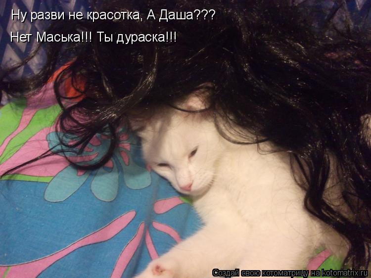 Ну разви не красотка, А Даша??? Ну разви не красотка, А Даша??? Нет маска!!! Ты дураська!!! Нет Маськ... Котоматрица: Ну разви не красотка, А Даша??? Ну разви не красотка, А Даша??? Нет маска!!! Ты дураська!!! Нет Маська!!! Ты дураска!!!