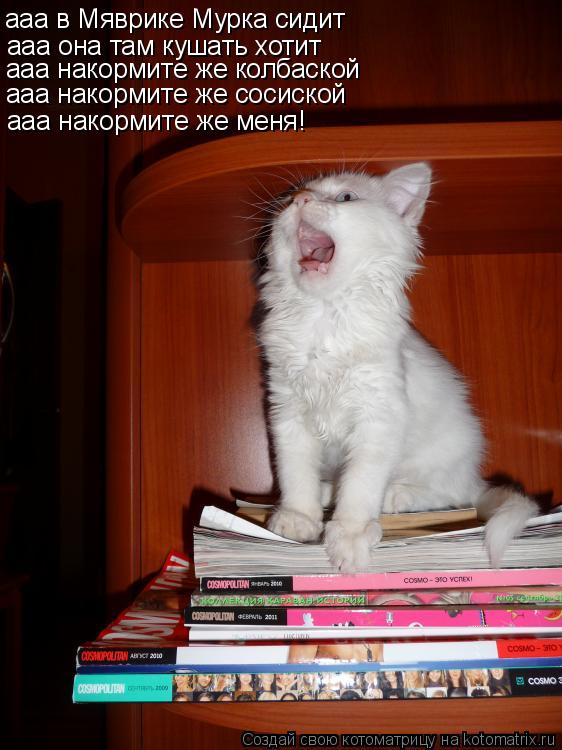 ааа она там кушать хотит ааа накормите же колбаской ааа накормите же сосиской ааа накормите же меня!... Котоматрица: ааа она там кушать хотит ааа накормите же колбаской ааа накормите же сосиской ааа накормите же меня! ааа в Мяврике Мурка сидит