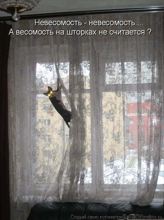 Невесомость - невесомость.... А весомость на шторках не считается ?... Котоматрица: Невесомость - невесомость.... А весомость на шторках не считается ?