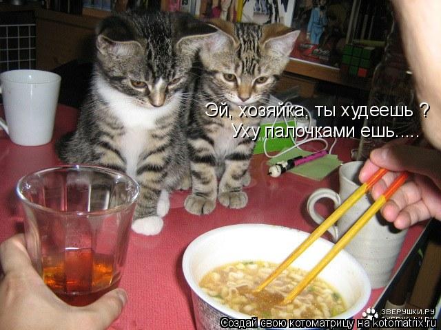 Эй, хозяйка, ты худеешь ? Уху палочками ешь........ Котоматрица: Эй, хозяйка, ты худеешь ? Уху палочками ешь.....
