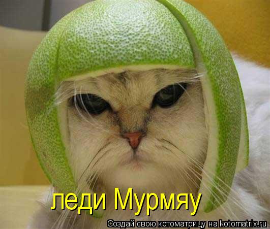 леди Мурмяу... Котоматрица: леди Мурмяу
