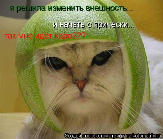 я решила изменить внешность... и начать с причёски... так мне идёт каре???... Котоматрица: я решила изменить внешность... и начать с причёски... так мне идёт каре???