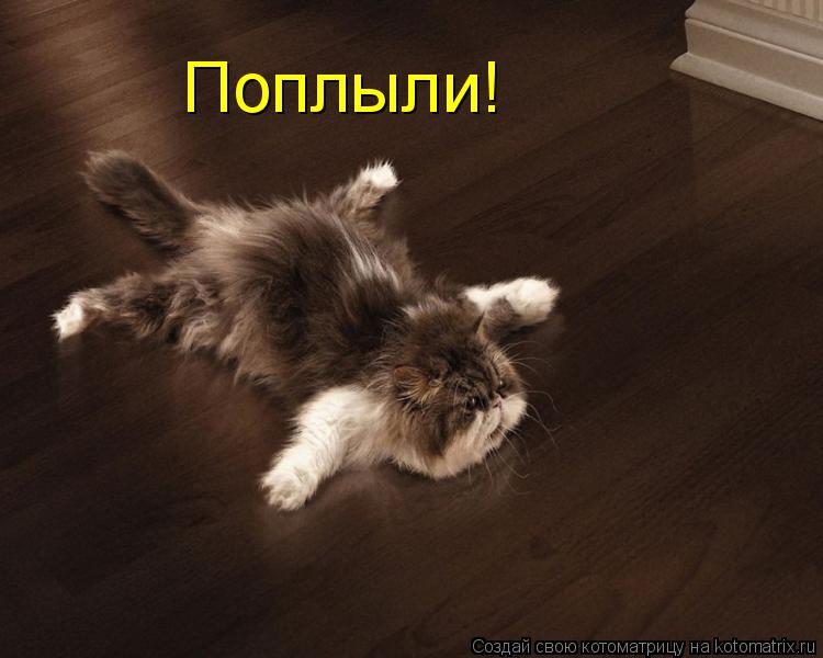 Котоматрица: Поплыли!