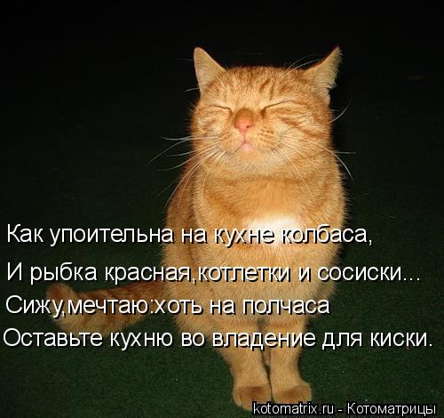 Котоматрица: Как упоительна на кухне колбаса, И рыбка красная,котлетки и сосиски... Сижу,мечтаю:хоть на полчаса Оставьте кухню во владение для киски.