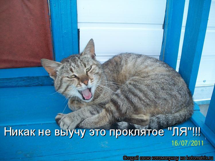 Котоматрица: Никак не выучу это проклятое "ЛЯ"!!!