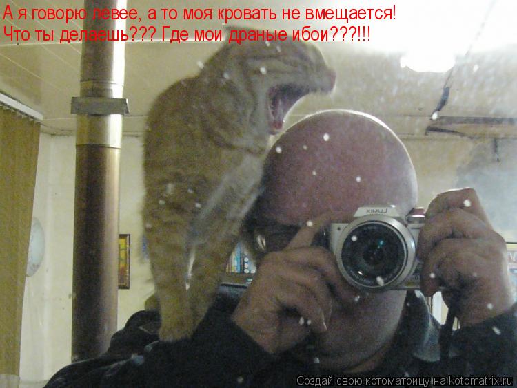 Котоматрица: А я говорю левее, а то моя кровать не вмещается! Что ты делаешь??? Где мои драные ибои???!!!