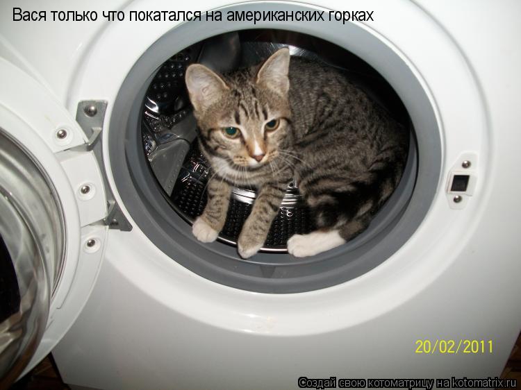 Котоматрица: Вася только что покатался на американских горках