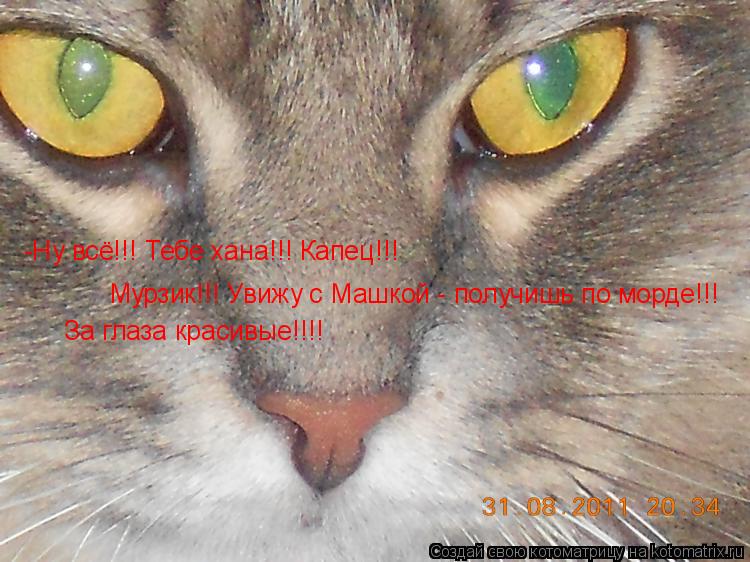 Котоматрица: -Ну всё!!! Тебе хана!!! Капец!!! Мурзик!!! Увижу с Машкой - получишь по морде!!!  За глаза красивые!!!!