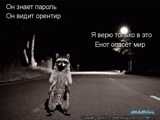 Котоматрица: Он знает пароль Он видит орентир Я верю только в это Енот спасёт мир