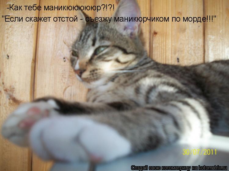 Котоматрица: -Как тебе маникюююююр?!?! "Если скажет отстой - съезжу маникюрчиком по морде!!!"