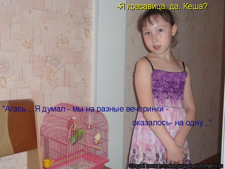 Котоматрица: -Я красавица, да, Кеша? "Агась... Я думал - мы на разные вечеринки -  оказалось- на одну..."