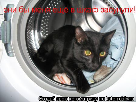 Котоматрица: они бы меня ещё в шкаф засунули!