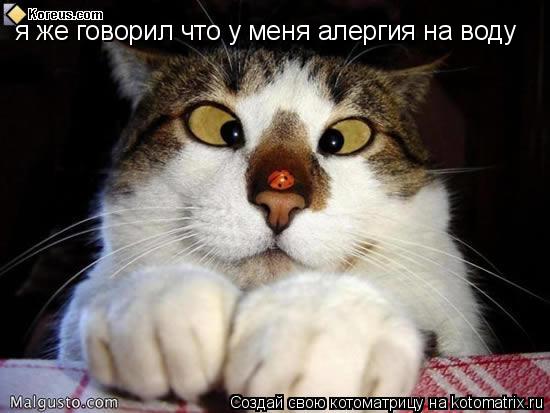 Котоматрица: я же говорил что у меня алергия на воду