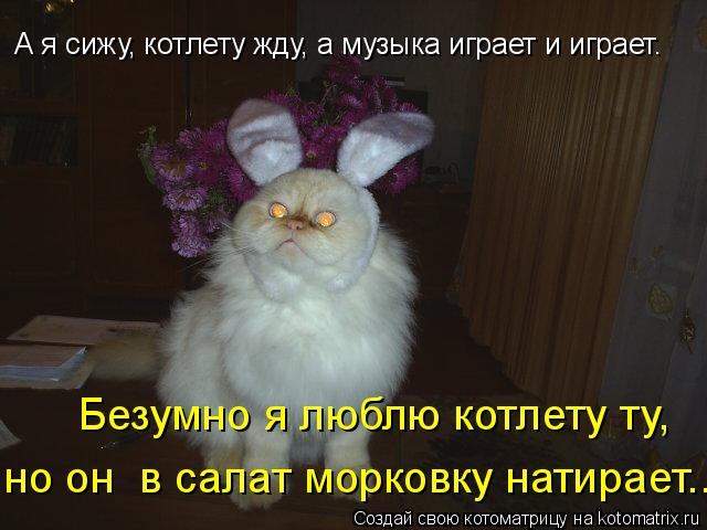 Котоматрица: А я сижу, котлету жду, а музыка играет и играет. Безумно я люблю котлету ту,  но он  в салат морковку натирает...