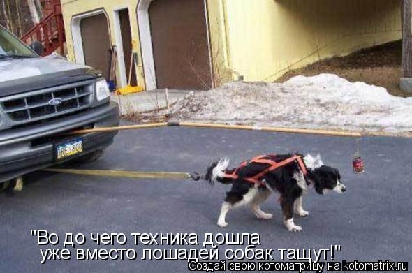 Котоматрица: "Во до чего техника дошла уже вместо лошадей собак тащут!"