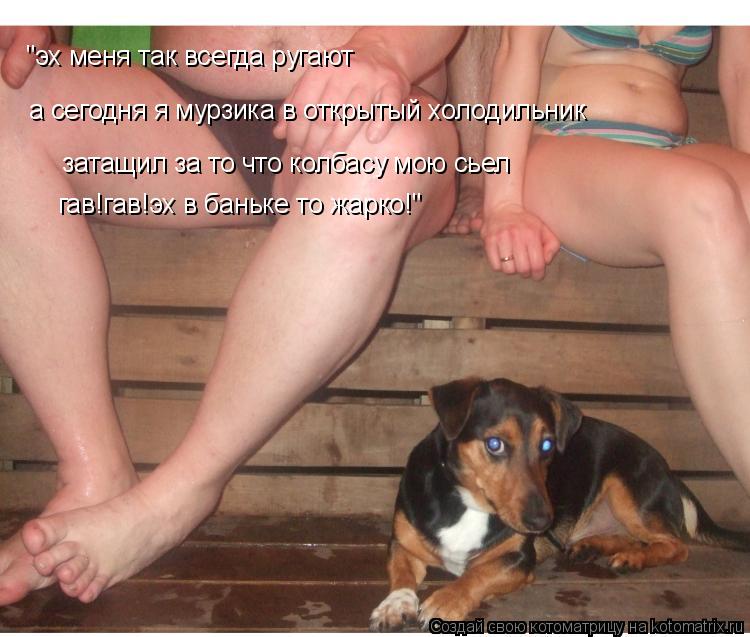 Котоматрица: "эх меня так всегда ругают а сегодня я мурзика в открытый холодильник затащил за то что колбасу мою сьел гав!гав!эх в баньке то жарко!"