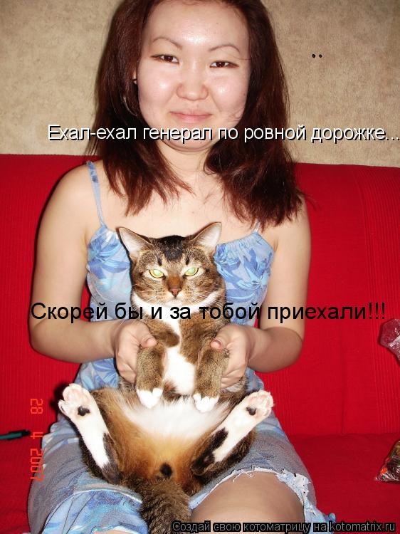 Котоматрица: Ехал-ехал генерал по ровной дорожке... Скорей бы и за тобой приехали!!!