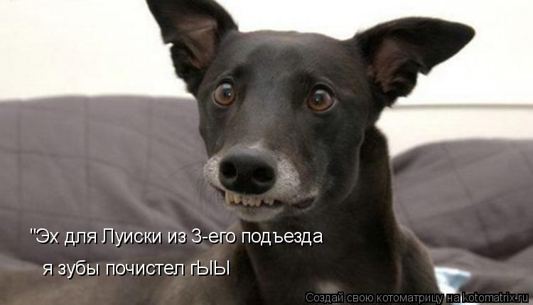"Эх для Луиски из 3-его подъезда я зубы почистел гЫЫ... Котоматрица: "Эх для Луиски из 3-его подъезда я зубы почистел гЫЫ