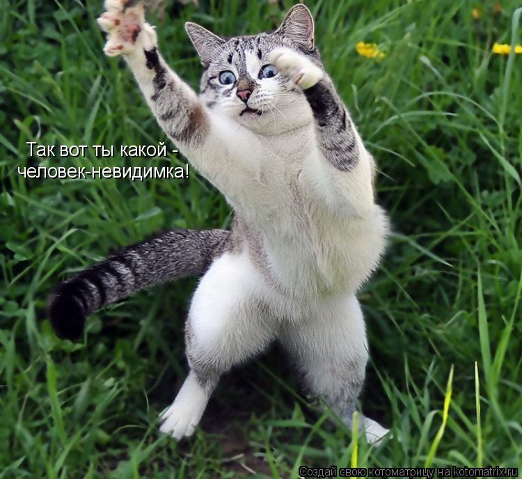 Котоматрица: Так вот ты какой -  человек-невидимка!