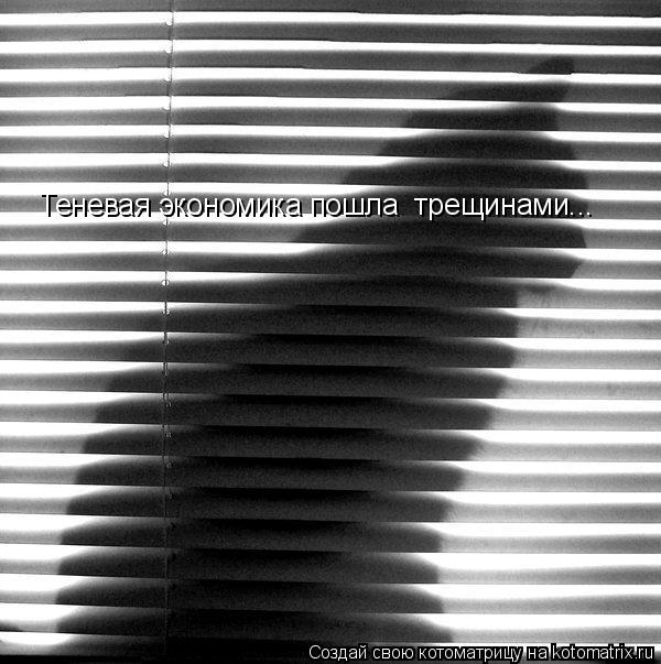 Котоматрица: Теневая экономика пошла  трещинами...