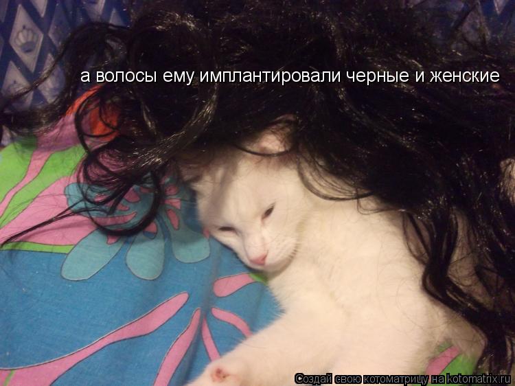 Котоматрица: а волосы ему имплантировали черные и женские