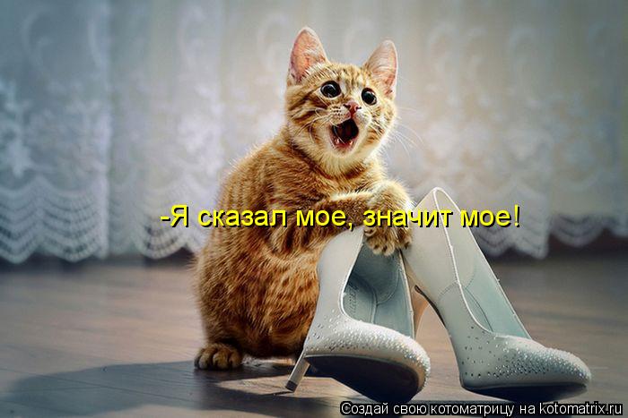 Котоматрица: -Я сказал мое, значит мое!