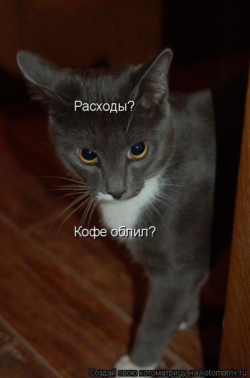 Котоматрица: Расходы? Кофе облил?