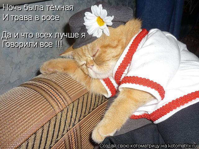 Котоматрица: Ночь была тёмная И трава в росе Да и что всех лучше я  Говорили все !!!