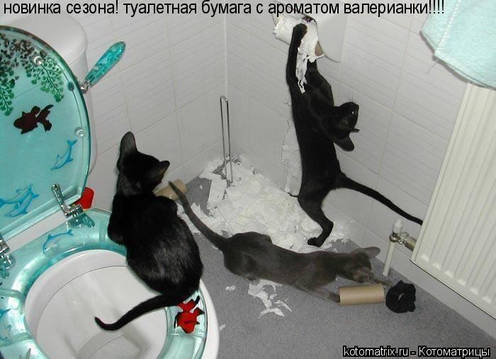 Котоматрица: новинка сезона!  туалетная бумага с ароматом валерианки!!!! новинка сезона! туалетная бумага с ароматом валерианки!!!!