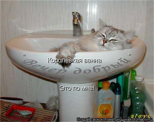 Котоматрица: Королевкая ванна " " Это по мне!
