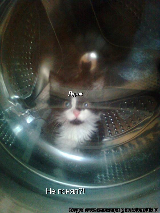 Котоматрица: Дурак Не понял?!