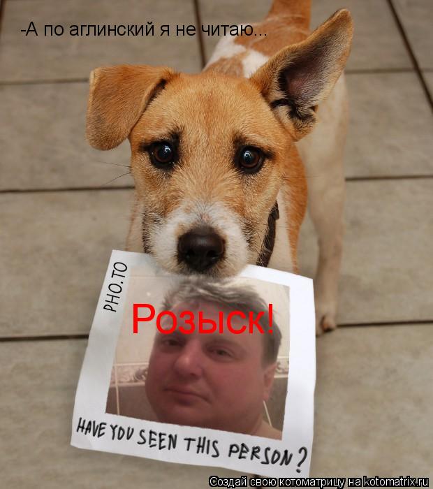 Котоматрица: Розыск! -А по аглинский я не читаю...