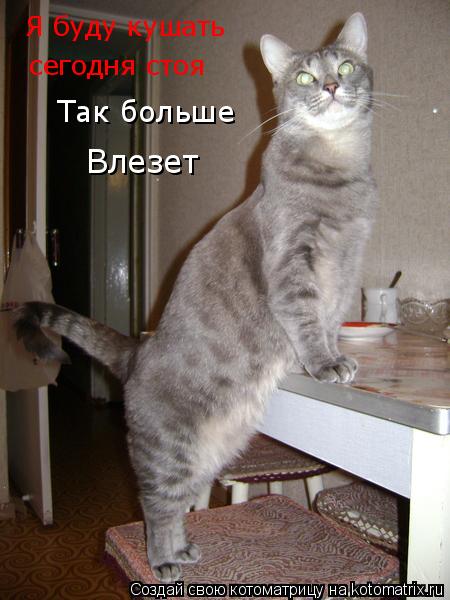 Котоматрица: Я буду кушать сегодня стоя Так больше  Влезет