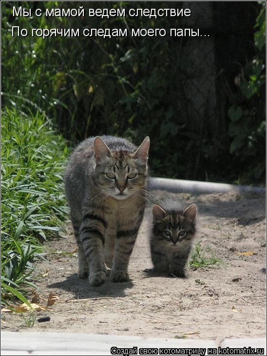 Котоматрица: Мы с мамой ведем следствие  По горячим следам моего папы...