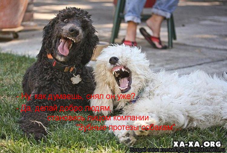 Котоматрица: - Ну, как думаешь, снял он уже? - Да, делай добро людям, становись лицом компании "Зубные протезы собакам"...